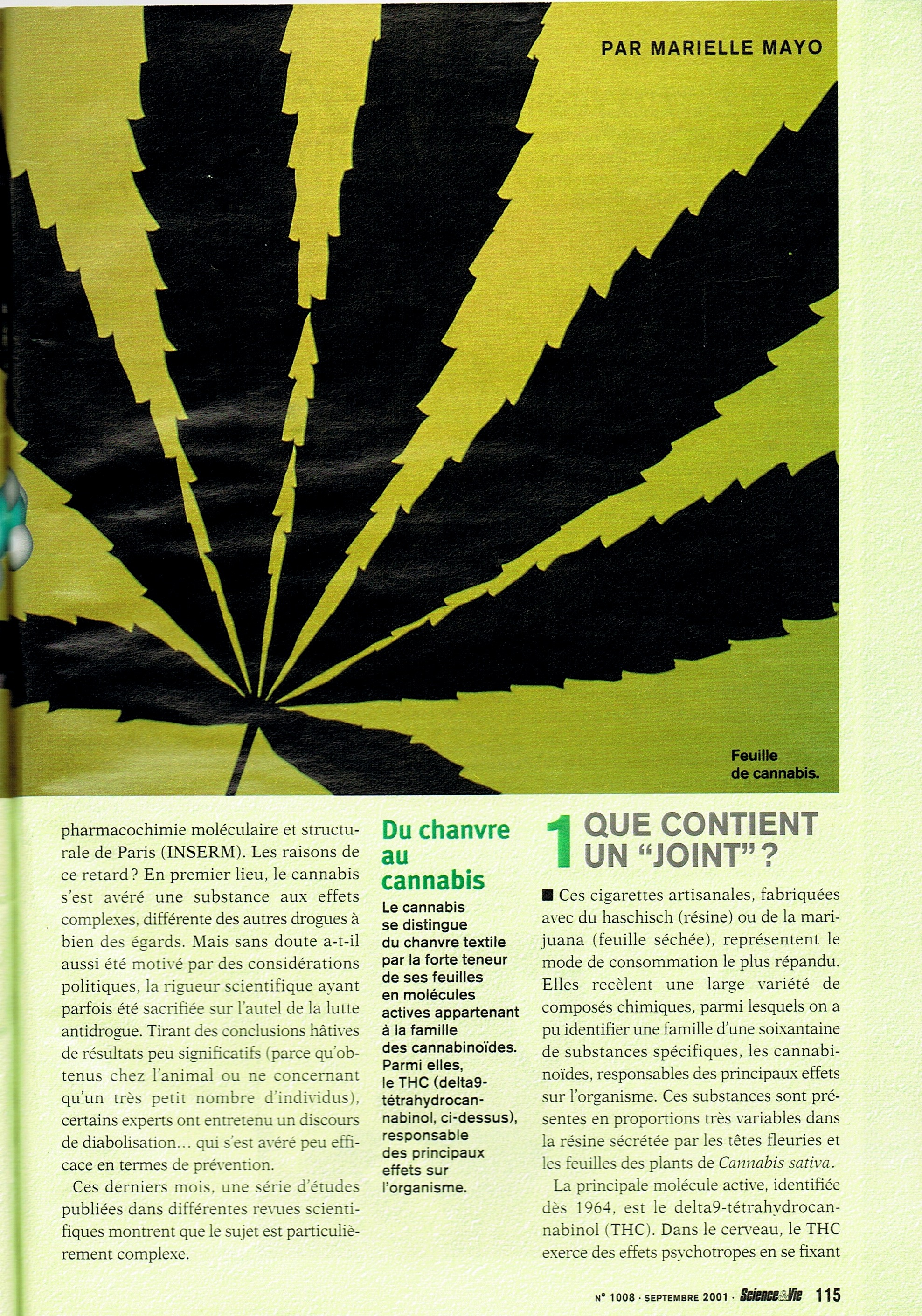 article cannabis ses veritables effets sur la sante 2 sc & vie 2001