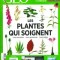 Les plantes qui soignent – Géo Août 2013