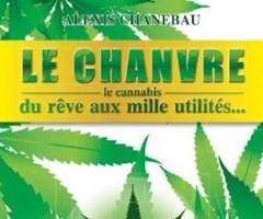 le chanvre – Le cannabis – du rêve aux mille utilités