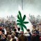 cannabis récréatif légal au Colorado