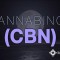 Cannabinol (CBN): The Cannabinoid That Makes You Sleepy