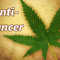 Marijuana Compounds Can Kill Some Cancer Cells: Study 10 – 2013