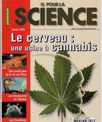 Le cerveau, une usine à cannabis – Pour la science janvier 2005