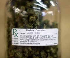 Le cannabis à usage médical permet d’éviter les overdoses aux antidouleurs