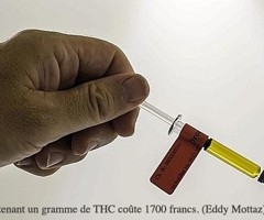 Les promesses médicales inexplorées du cannabis – Suisse