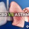 Study: Cannabidiol (CBD) as an Effective Asthma Treatment