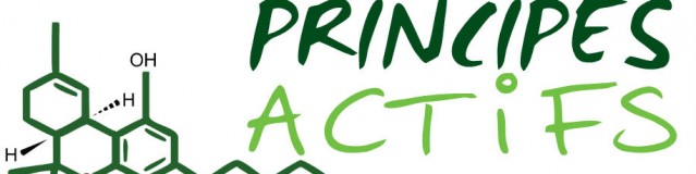 Logo principes actifs