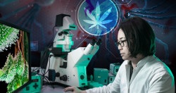 Une scientifique de L’Institut national américain du cancer