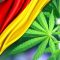 Premier permis de culture de cannabis médicinal délivré en Allemagne