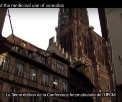 Conférences sur le cannabis médical en France et en Espagne