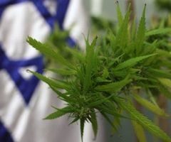 Pouvoir vendre du cannabis médical, bientôt possible en Israël ?