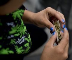 Etats-Unis: les Américains disent « oui » au cannabis
