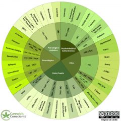 Quelque chose ne tourne vraiment pas rond dans l’évaluation des teneurs en composants actifs du cannabis!