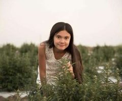 Aux Etats-Unis, le cannabis médicinal a le visage d’une enfant de 12 ans