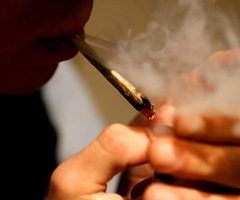 Légaliser le cannabis, une bonne idée qui prend racine