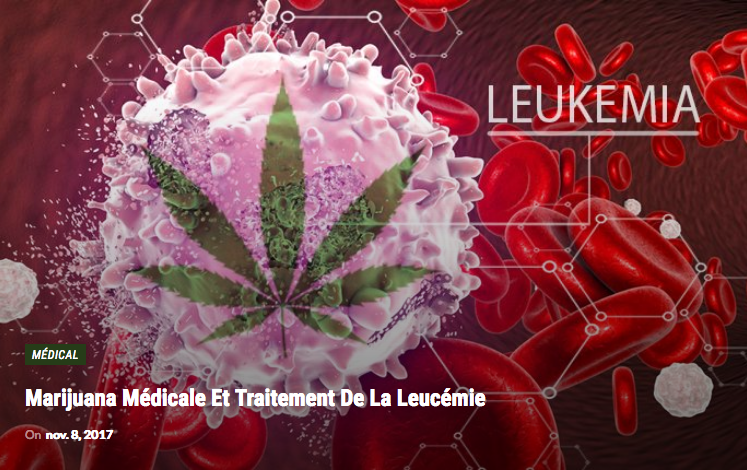 Médical Marijuana médicale et traitement de la leucémie