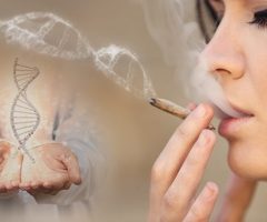 Premier test génétique au monde à déterminer la réaction d’une personne au cannabis