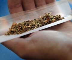 Eric Correia veut que la Creuse cultive du cannabis à visée thérapeutique