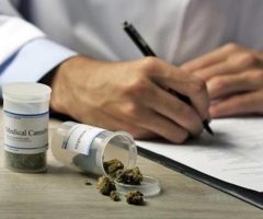 Cannabis médical : les bénéfices pour soulager la douleur sont largement surestimés selon une étude