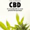 CBD Un cannabinoïde au vaste potentiel thérapeutique  Docteur Grotenhermen