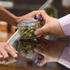 Le Luxembourg autorise le cannabis thérapeutique