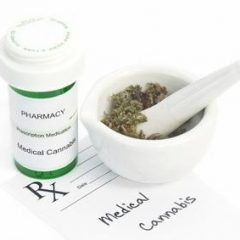 Actualités FIBROMYALGIE : De nouvelles preuves d’efficacité du cannabis médical