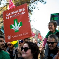 Au Chili, des mamans cultivatrices de cannabis pour soigner leurs enfants