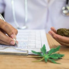 Le cannabis mène à la « rémission complète » de la maladie de Crohn sans effets secondaires, selon une nouvelle étude