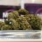 Dossier : Le Liban veut légaliser le cannabis à usage thérapeutique