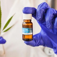 Actualités Santé Médecine   Le cannabis médical, un antidouleur hors la loi en France