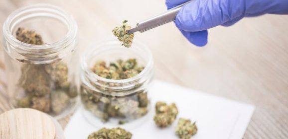 MICI : le cannabis thérapeutique donne des preuves d’efficacité