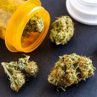 Que s’est-il dit pendant le CSST du 17 avril 2019 sur le cannabis médical ?