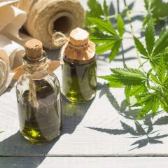 Cannabis médical : cette « mousse » serait plus efficace que le THC