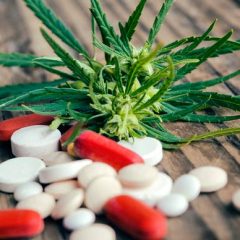 Le cannabis est-il un vrai médicament ?