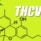 Qu’est-ce que la tétrahydrocannabivarine (THCV) ?