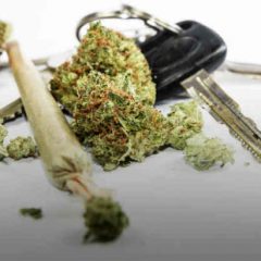 La Californie va payer des volontaires pour fumer du cannabis et conduire