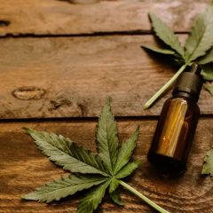 ASCO 2019 : Cannabis et cancer, encore beaucoup de questions à éclaircir