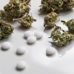 Cannabis thérapeutique : les associations de patients satisfaites par le projet d’expérimentation