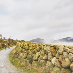 Irlande : le ministère de la Santé annonce la légalisation du cannabis médical