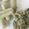 Le cannabis thérapeutique pourrait réduire la consommation d’opioïdes aux Etats-Unis
