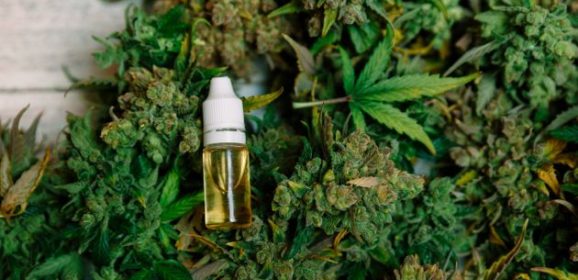 Santé magazine : Témoignages de patients inclus dans l’expérimentation du cannabis thérapeutique