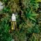 L’expérimentation thérapeutique du cannabis en France prévue pour septembre