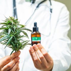 Cannabis « médical » contre cannabis « récréatif » : une vision trop simpliste