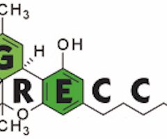 Bibliographie Cannabinoïdes et CANCER, Docteur Christian SUEUR, GRECC, mars 2020