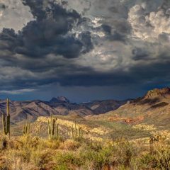 Arizona : la légalisation du cannabis au vote de novembre