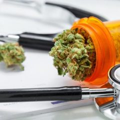 L’expérimentation du cannabis thérapeutique retardée ?