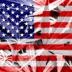 La légalisation du cannabis aux États-Unis. Modèles de régulation et premier bilan