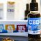 La justice européenne juge illégale l’interdiction en France du CBD, molécule contenue dans le cannabis