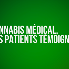 Cannabis médical : Des patients témoignent