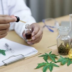 Cannabis : la France sur le point de légaliser officiellement le CBD